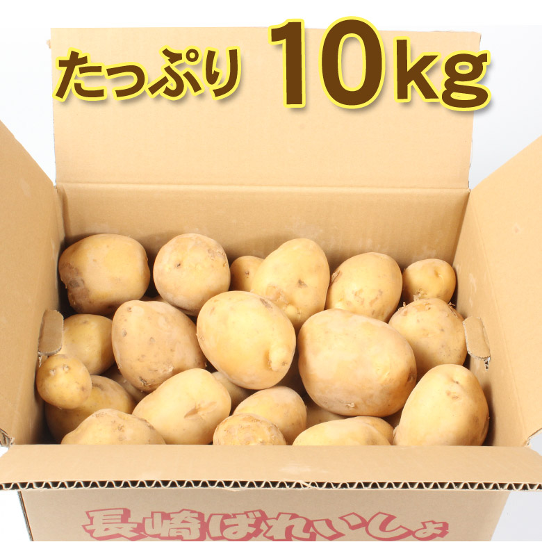 楽天市場】【11月末から順次ご発送】送料無料 産地直送 長崎県産 長崎