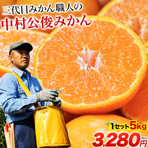 楽天市場】3代目 みかん職人 中村 公俊さんの みかん たっぷり 5kg