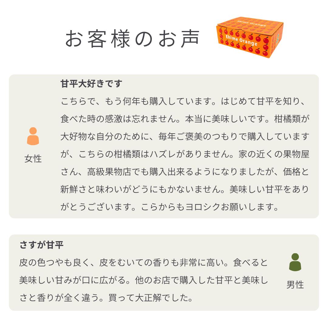楽天市場】大豊作祭！期間限定 特価！＼最大100％ポイントバック 25日