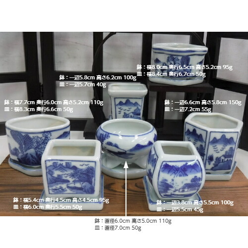 楽天市場】【セール】和鉢 盆栽鉢 [173-010] 12個セット 染付鉢 皿付