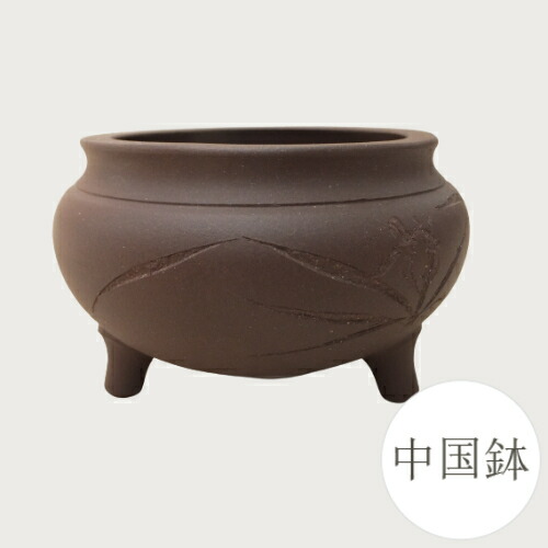 楽天市場】中国宜興の通販