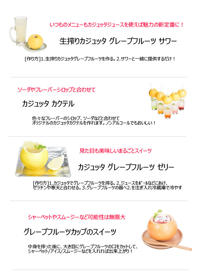 楽天市場】送料無料 果汁搾り機カジュッタ(CAJYUTTA)CJT3-04 ホテル