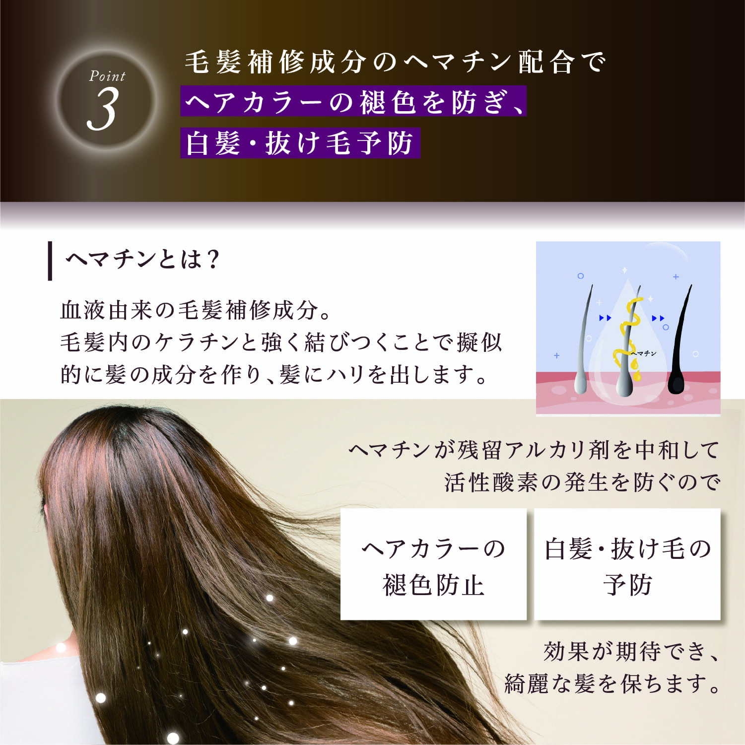 楽天市場】公式 クーポンで最大32%OFF 【 KYOGOKU シグネチャー