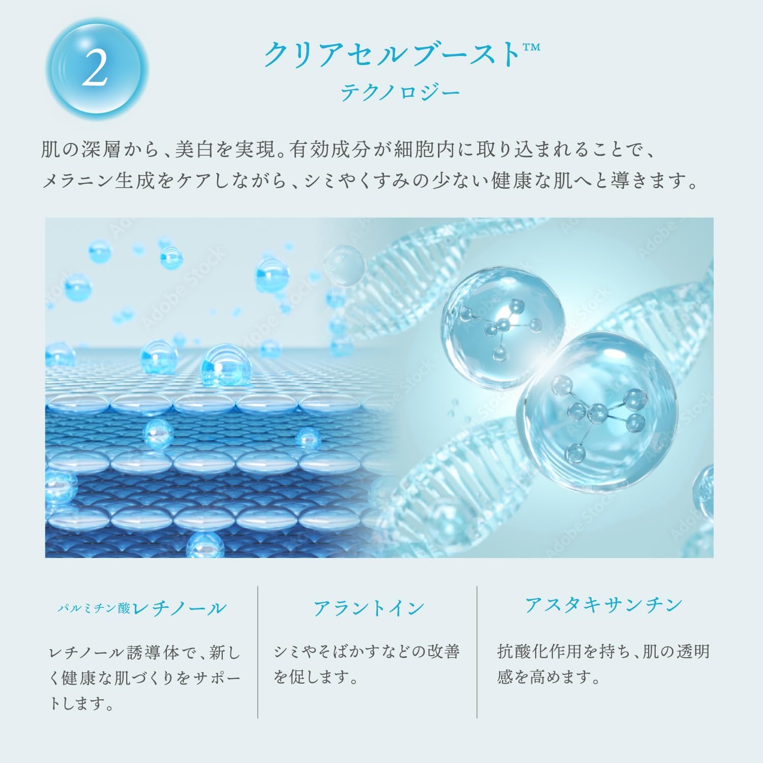 楽天市場】公式 25%OFFクーポン 【 KYOGOKU クリスタルスキン