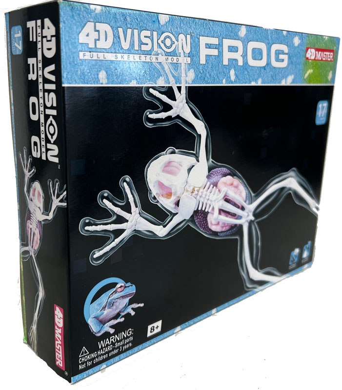楽天市場】【メーカー完売品/2点限り】教材 模型 4D VISION 動物解剖