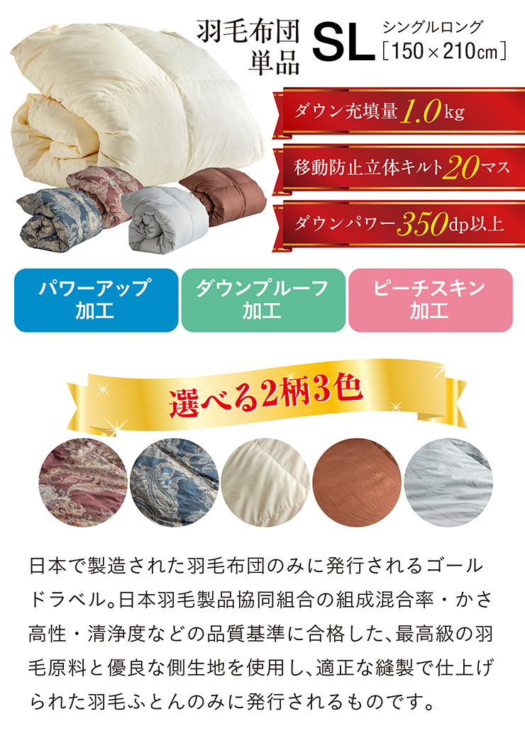 楽天市場】【ポイント10倍!1日20時〜23:59】【エクセルゴールドラベル