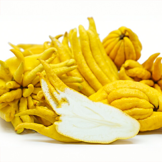 楽天市場】【その他柑橘系ミカン属】仏手柑（ぶっしゅかん）（接木苗