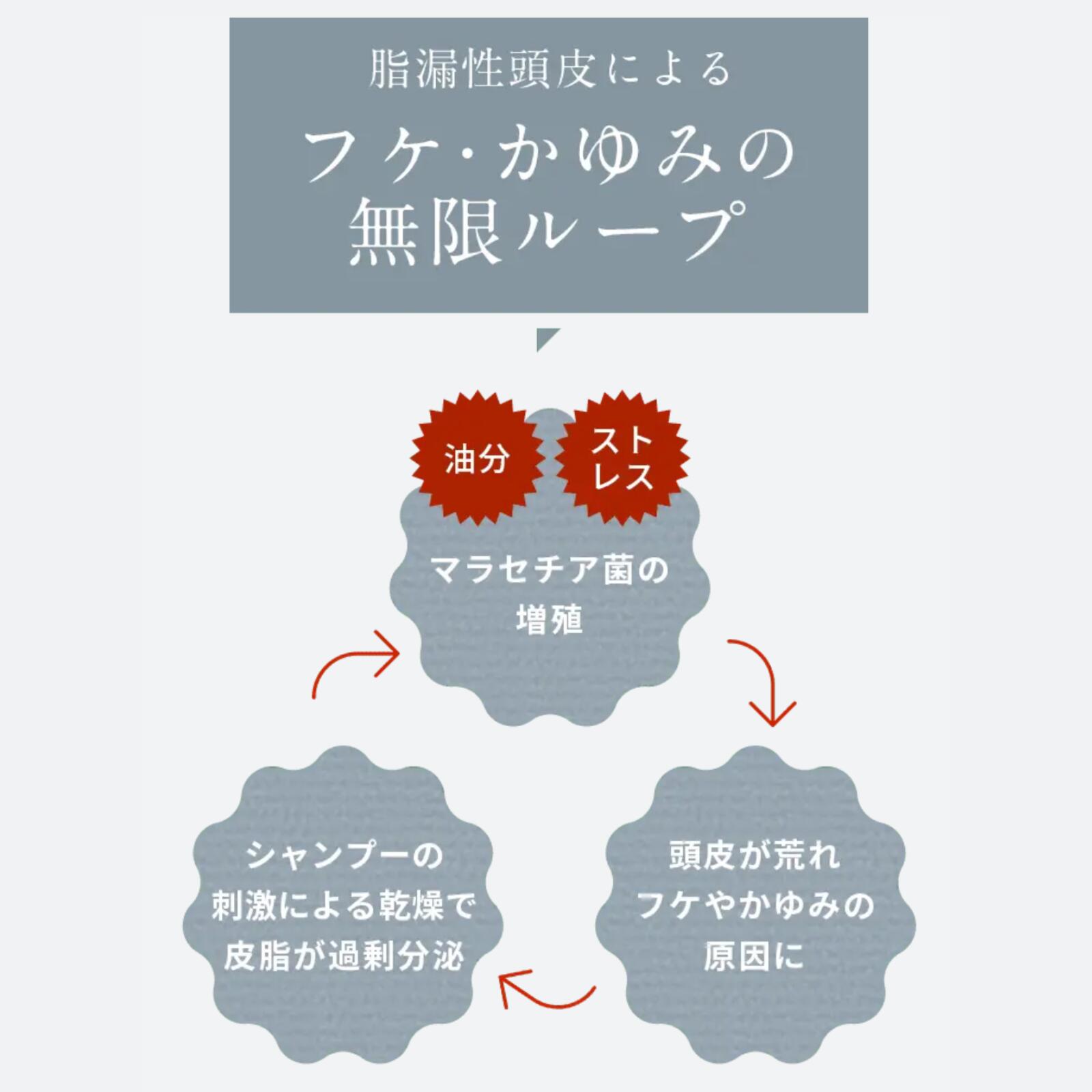 楽天市場】【脂漏性 頭皮 かゆみ ふけ】詰め替え用 カダソン薬用