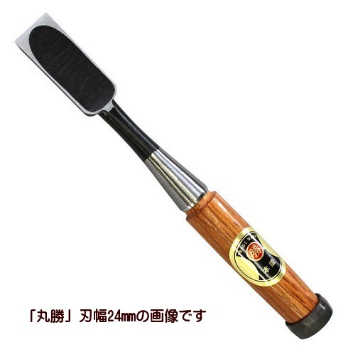 高級 ノミ」の人気商品一覧 | 安い商品を通販サイトから探す - 価格.com