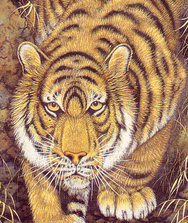 楽天市場】掛け軸 猛虎 （高松邦夫） 送料無料 【肉筆】【掛軸】【一間