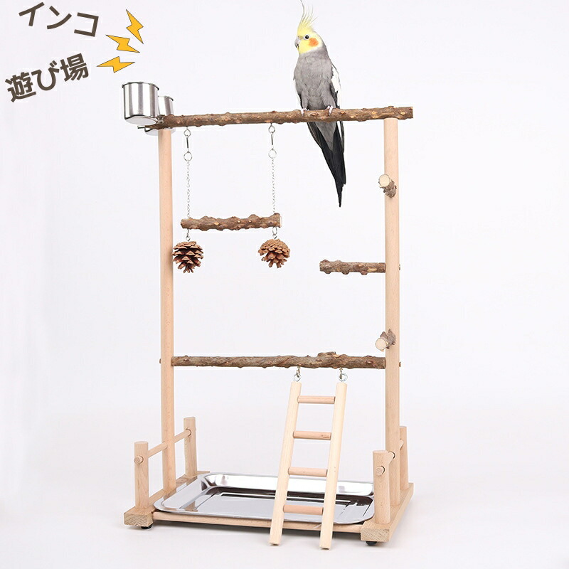 楽天市場】【スーパーSALE限定×10%OFF】インコ 遊び場 バード おもちゃ