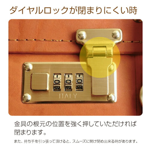 楽天市場】【月間優良ショップ】本革 牛革 ヌメ革 トランクケース 本体