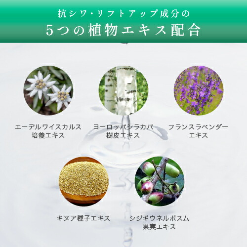 楽天市場】KATAN CICA ダーマヒットセラム10 30g ニードルセラム 高