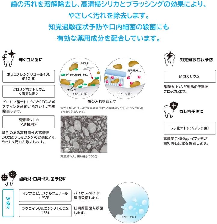 楽天市場】【対象商品PT10倍開催中】 松風 メルサージュ