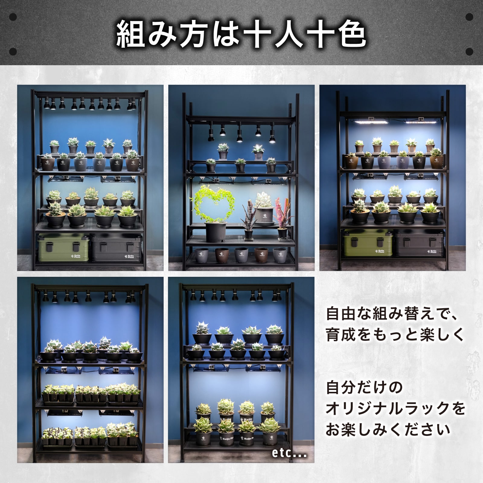 楽天市場】怪獣ラック 組立式 高さ調整可能 植物棚 幅110 奥行50 高さ