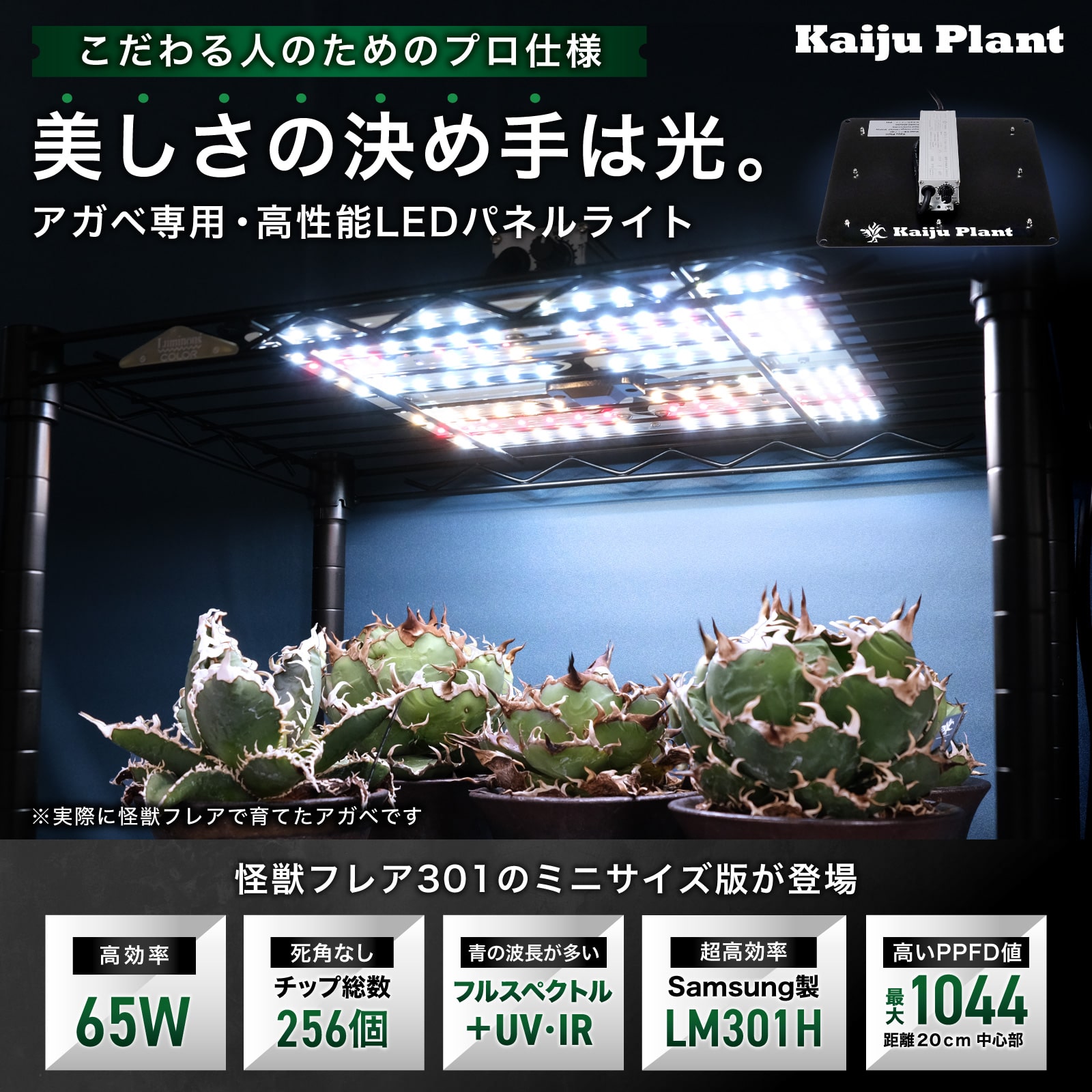 楽天市場】Kaiju Plant 怪獣フレア301 Sサイズ 65W 室内に太陽を 植物