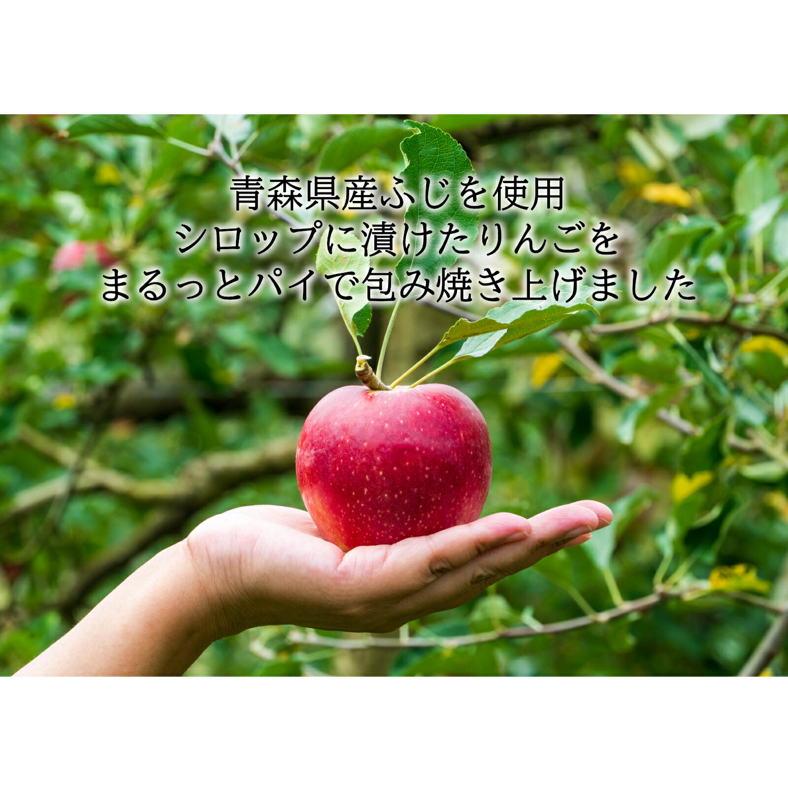 楽天市場】気になるリンゴ（1個） ラグノオ : 秋田物産KHSHOP