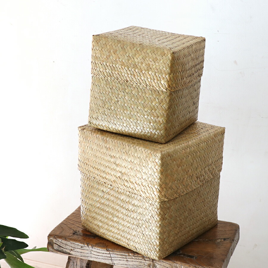 楽天市場】かごバスケット・タイ製 ナチュラルカラー カチュー水草