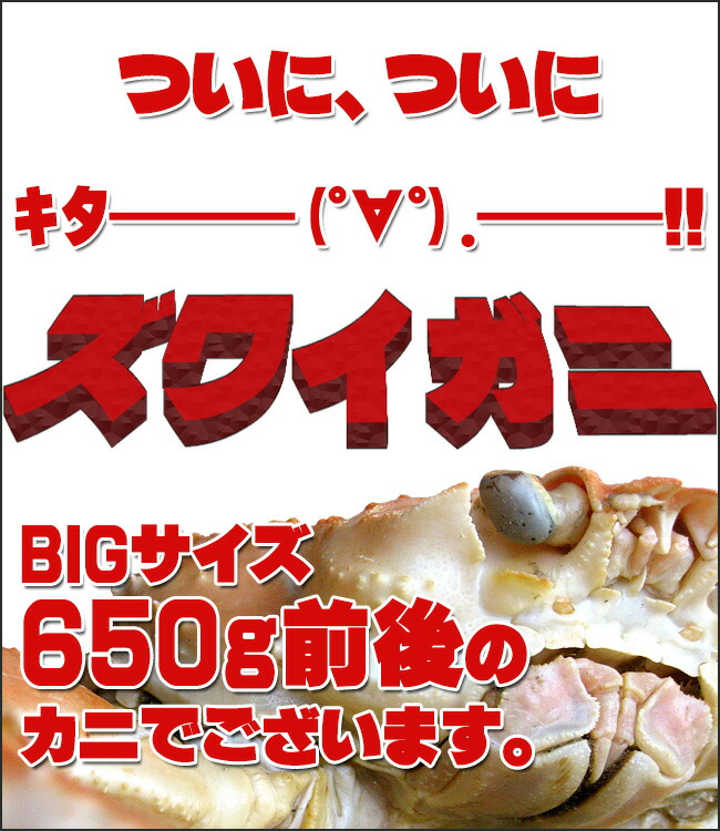 楽天市場】ズワイガニ650g前後【ずわい蟹姿】激安 訳ありでは