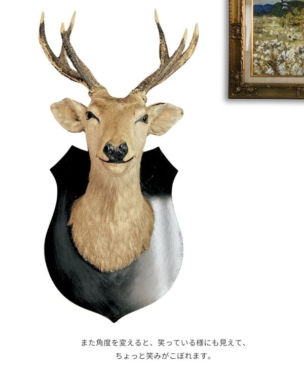 楽天市場】ハンティングトロフィー 鹿 オブジェ 壁掛け 剥製 シカ 狩猟