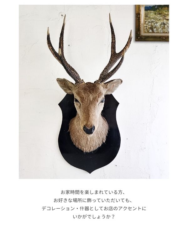楽天市場】ハンティングトロフィー 鹿 オブジェ 壁掛け 剥製 シカ 狩猟