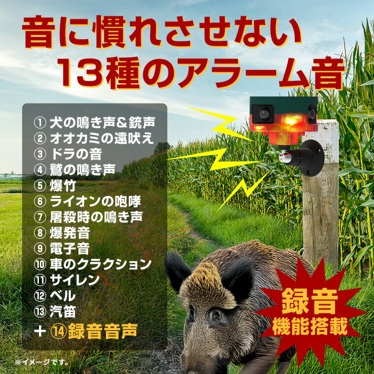 楽天市場】動物撃退器 防犯 アラーム 警報器 録音 機能付 ソーラー式