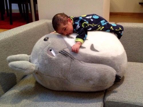 楽天市場】スタジオジブリ となりのトトロ 大トトロ お昼寝 クッション