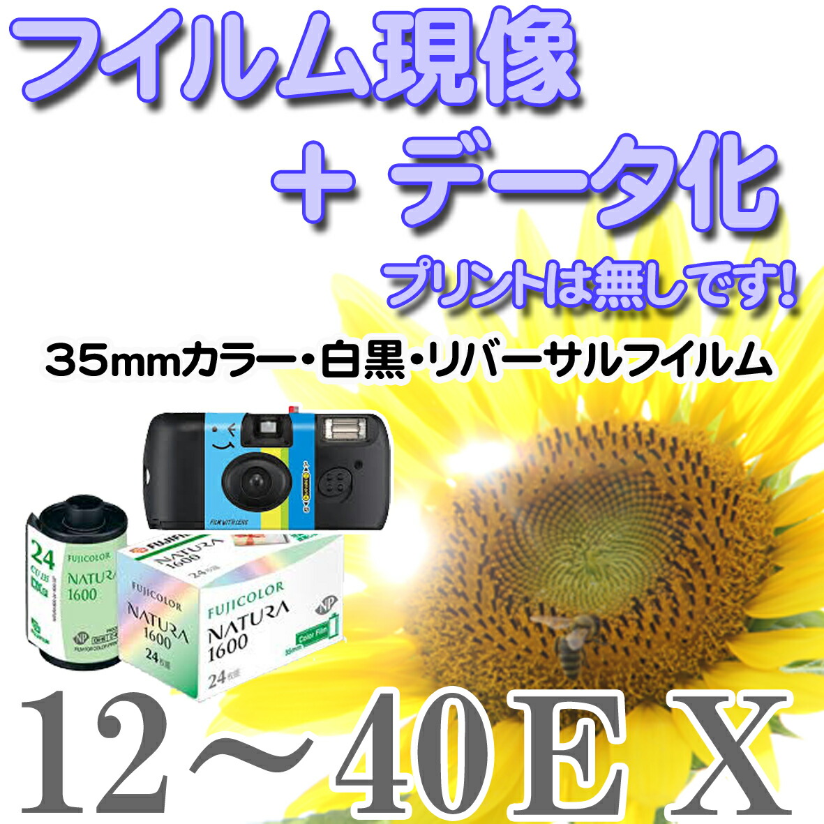 楽天市場】【メール便に限り送料無料：追跡可能メール便は対象外です
