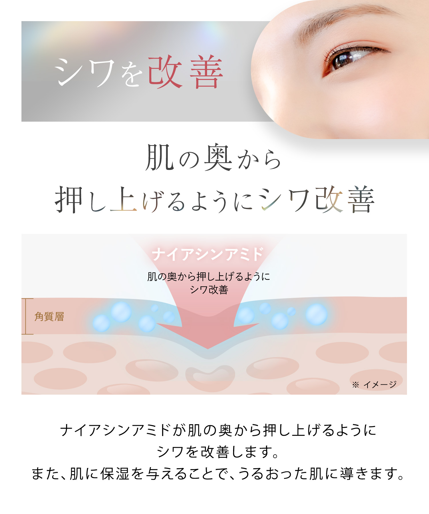 楽天市場】《公式店》【 WrinkFade リンクフェード 薬用 リンクル