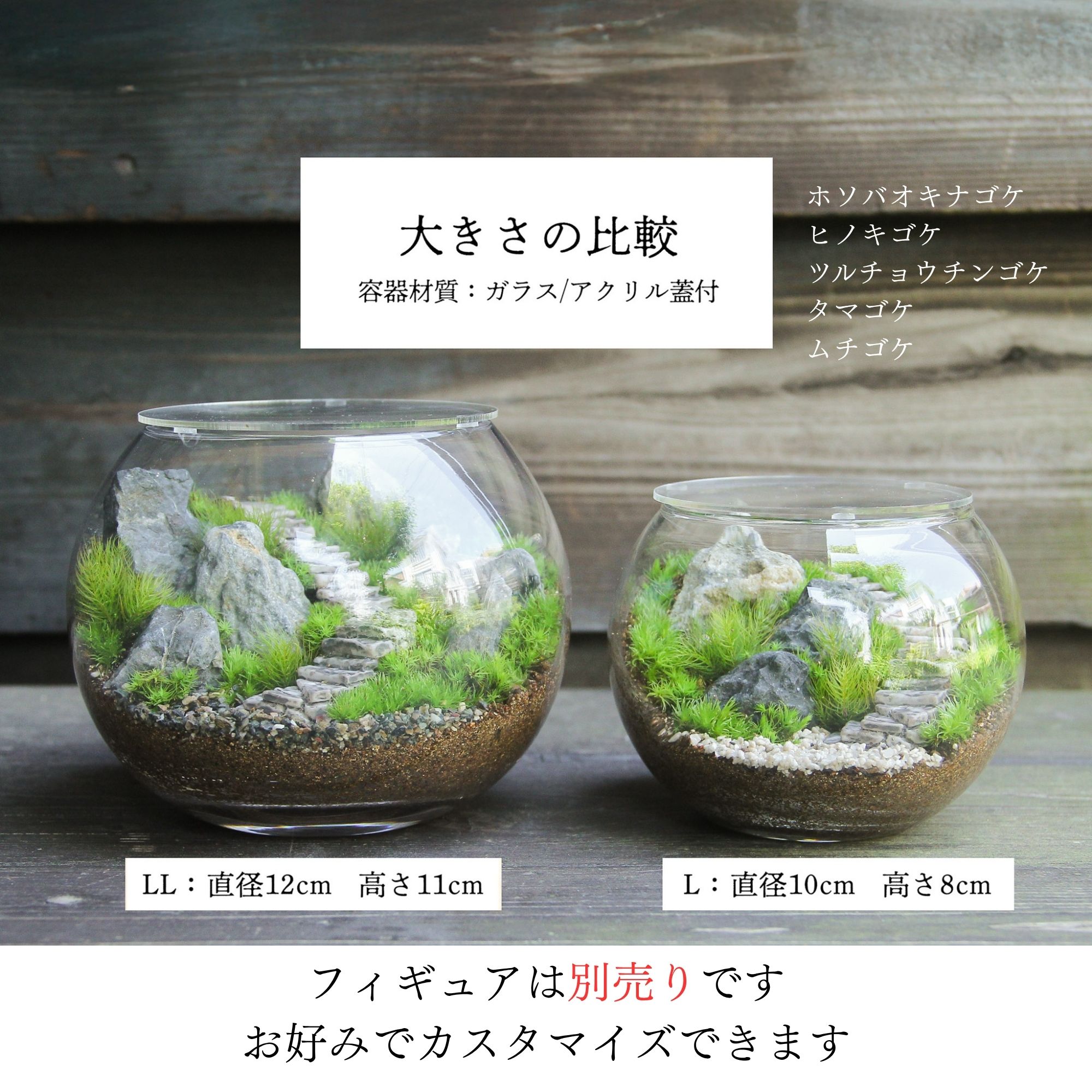 楽天市場 | 苔むすび 楽天市場店 - 生きた緑のインテリア、苔