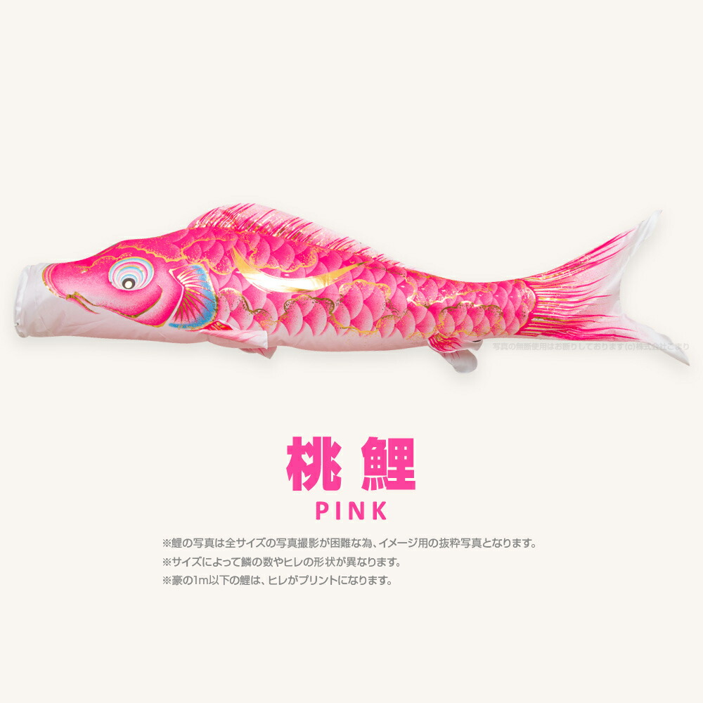 楽天市場】【2/26買回りでP最大4倍】 こいのぼり 単品 鯉のぼり 豪 1m