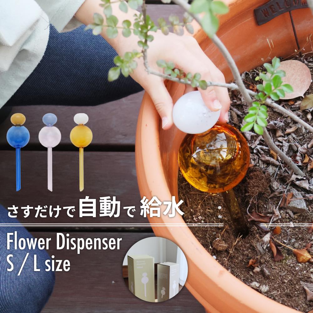 楽天市場】レビュー特典あり 植物 水差し 自動給水器 ウォーター