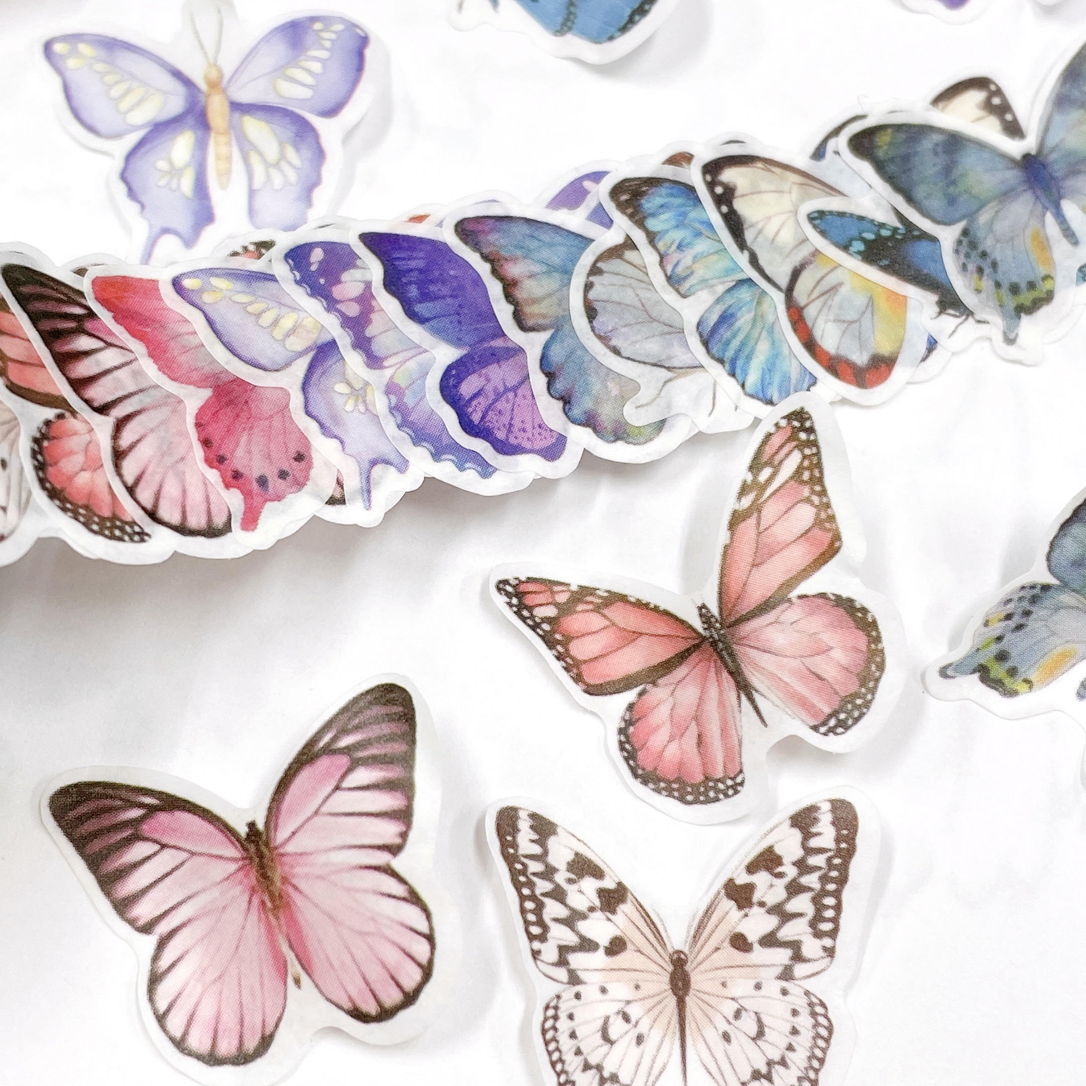 楽天市場】1枚ずつはがせる【マスキングロールテープ】100枚 標本