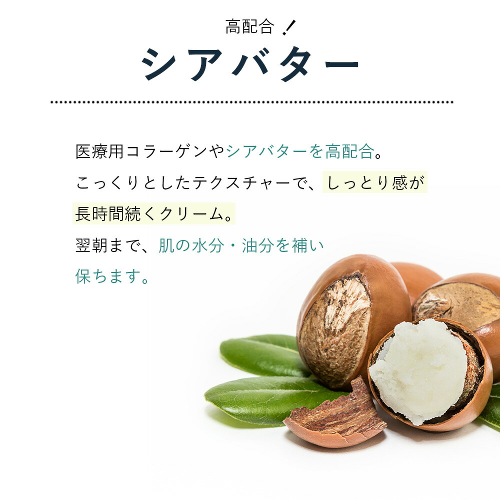 楽天市場】ヒト幹細胞 SAIBOW CREAM （ サイボウ クリーム ）30ml