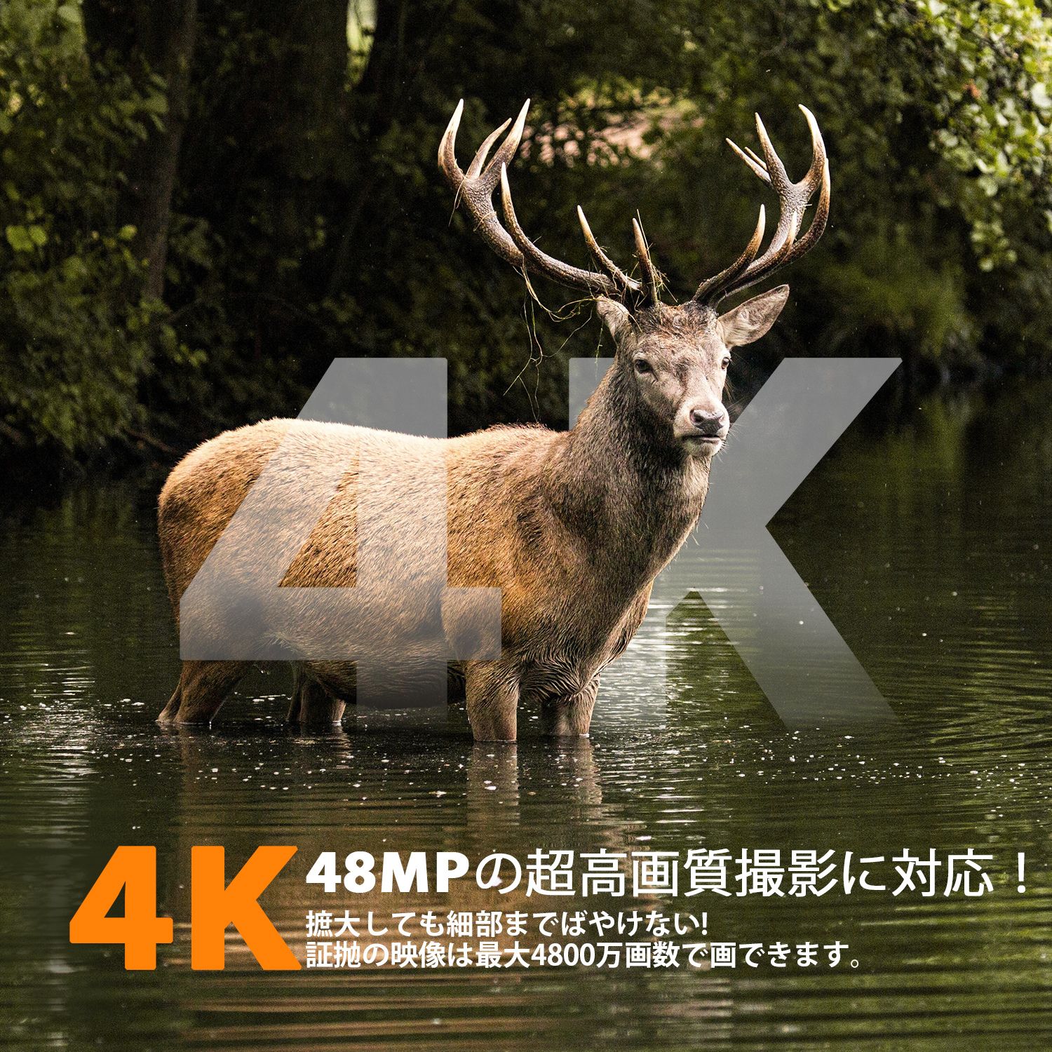 楽天市場】4800万画素 防犯カメラ 屋外 wifi不要 トレイルカメラ