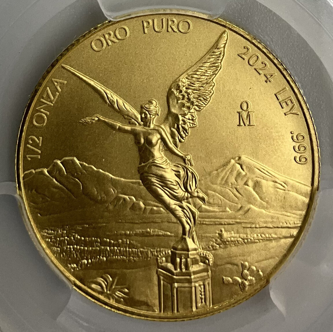 楽天市場】2024年 メキシコ リベルタード 1/2オンス 金貨 勝利の女神