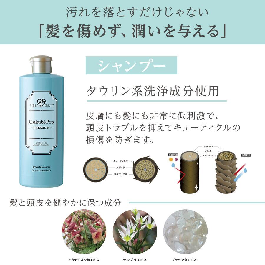 楽天市場】ゴクビプロ PREMIUM スカルプケア セット シャンプー2個