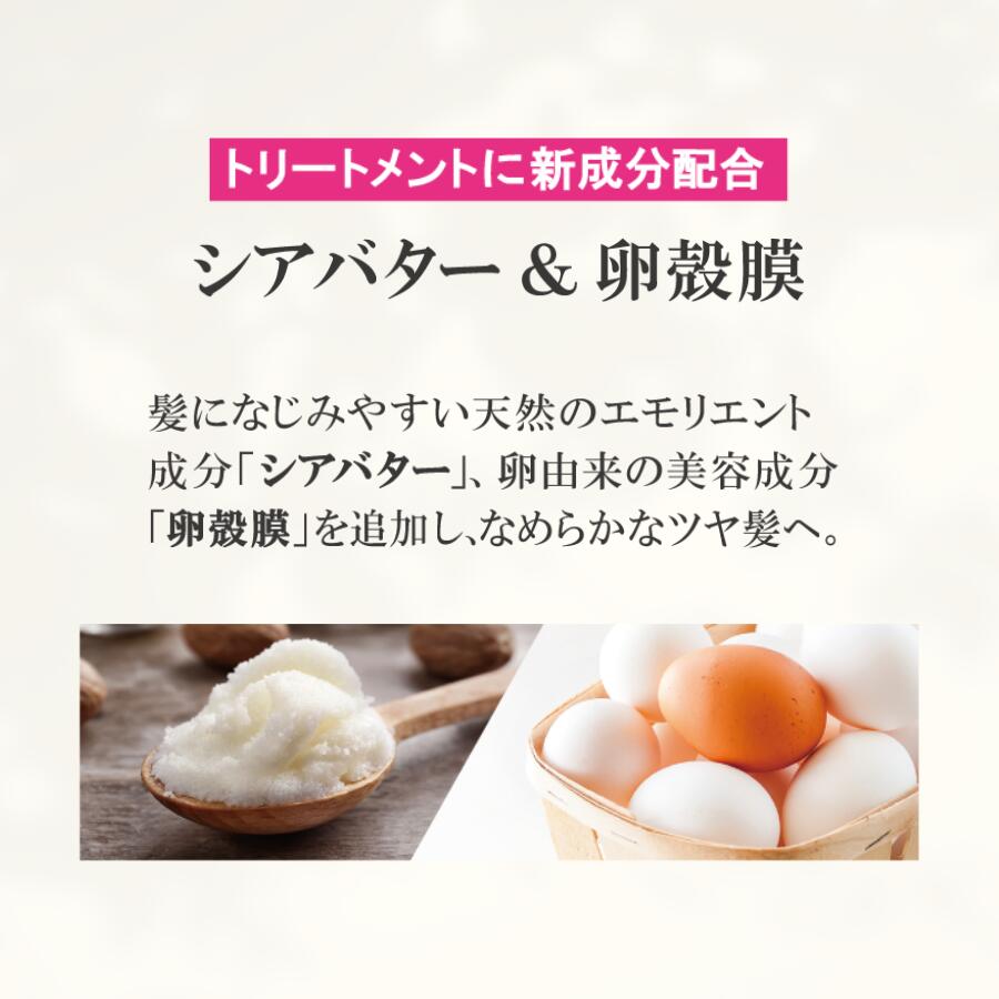 楽天市場】ゴクビプロ PREMIUM スカルプケア セット シャンプー2個