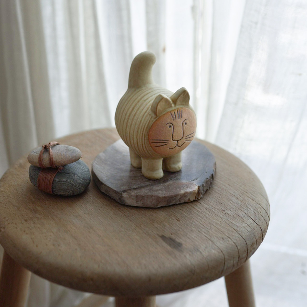 楽天市場】【個体で選べる】 プレゼントボックス入り 正規品 DieciCat