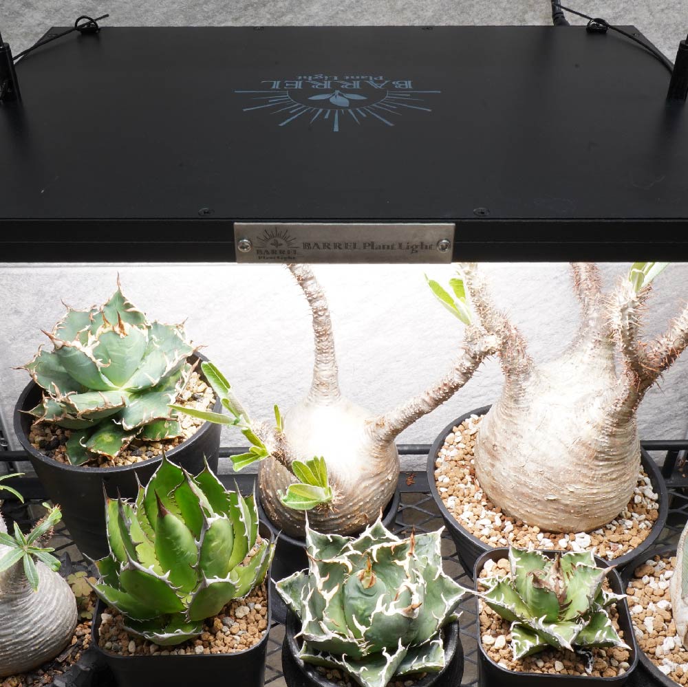 楽天市場】ROKI350 植物育成用ライト パネルライト ROKI ロキ 植物育成