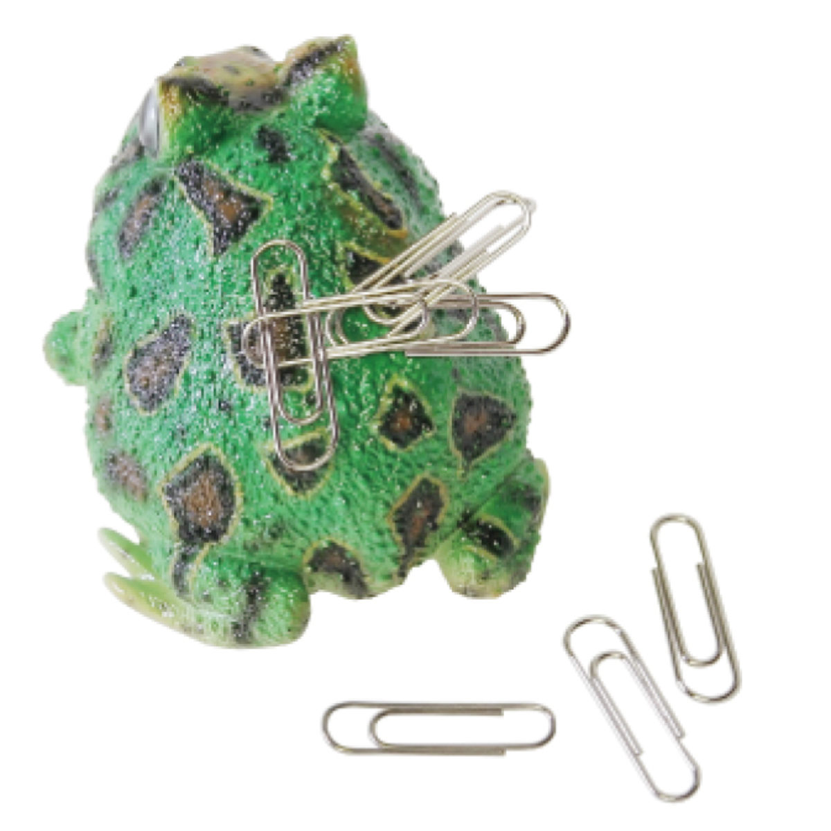 楽天市場】オブジェ REPTILES MAG ツノガエル （ クリップホルダー