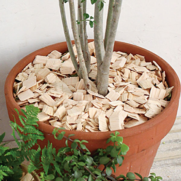 楽天市場】消臭 ヒノキ HINOKI CHIPS チップ 2L （ ウッドチップ 土