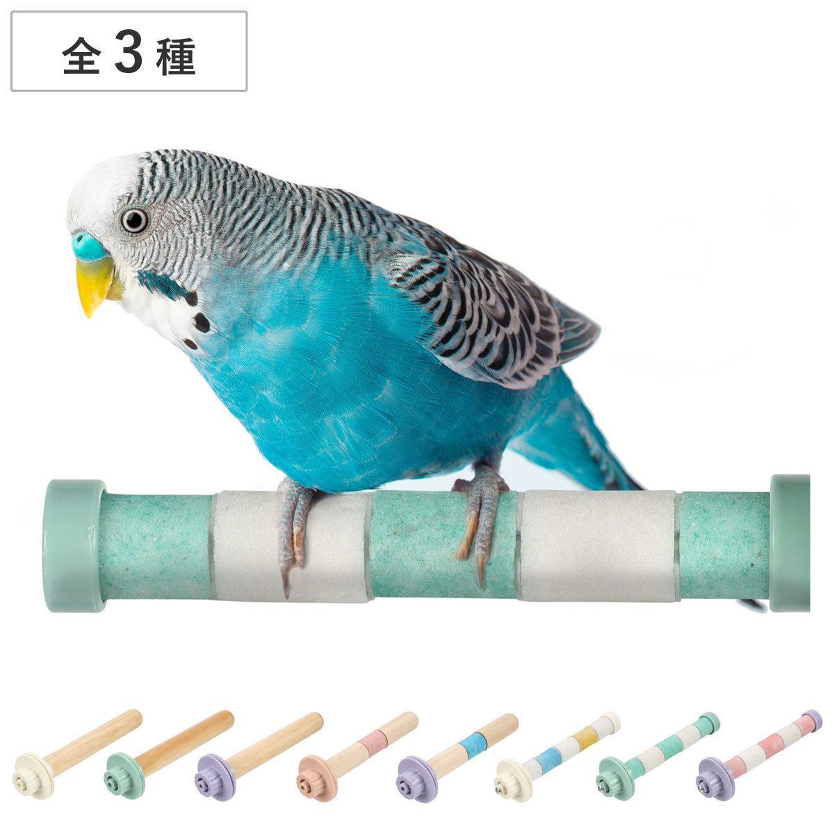 楽天市場】止まり木 鳥 ループ バディ ウッドパーチ クオーツパーチ