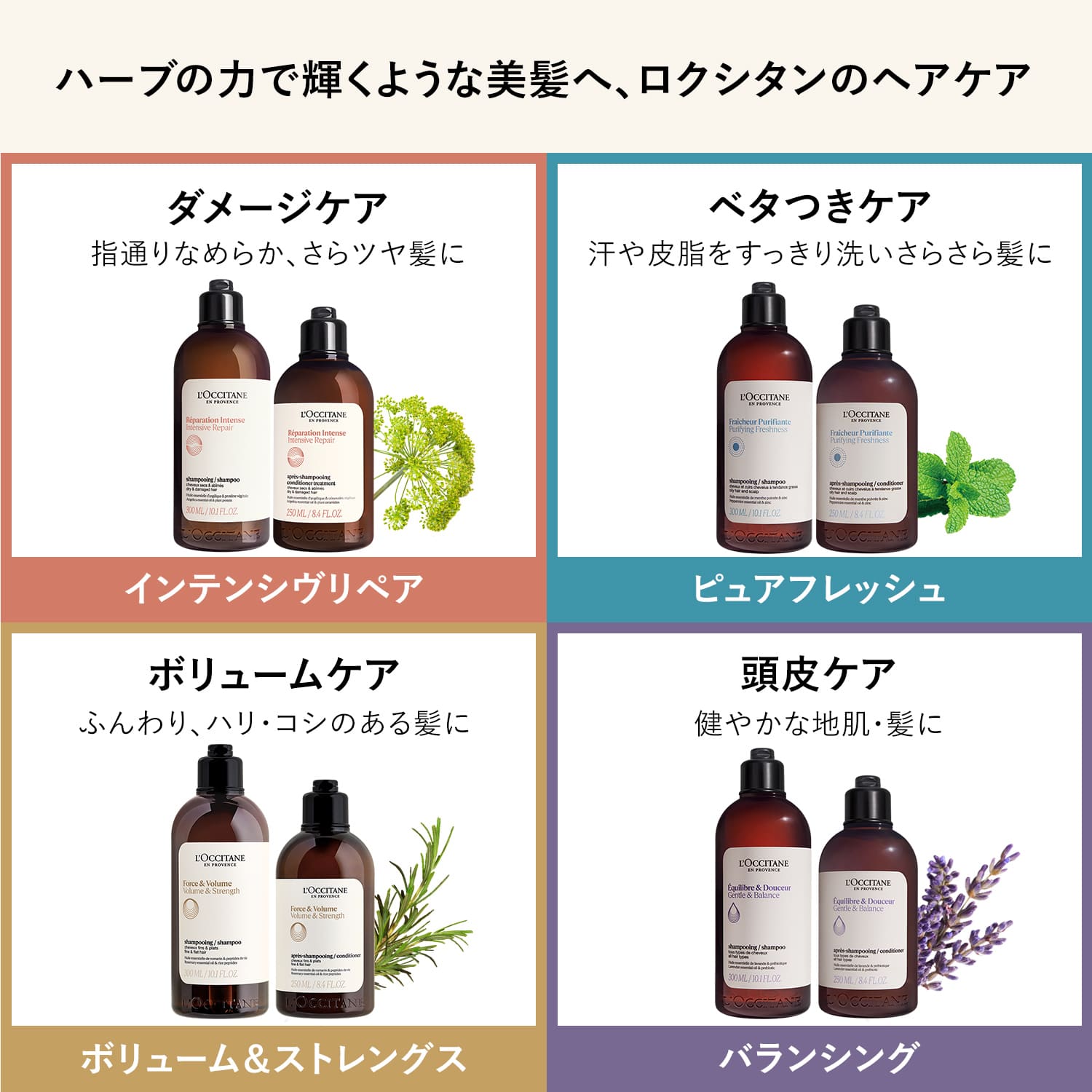 楽天市場】【公式】ロクシタン L'OCCITANE ピュアフレッシュ