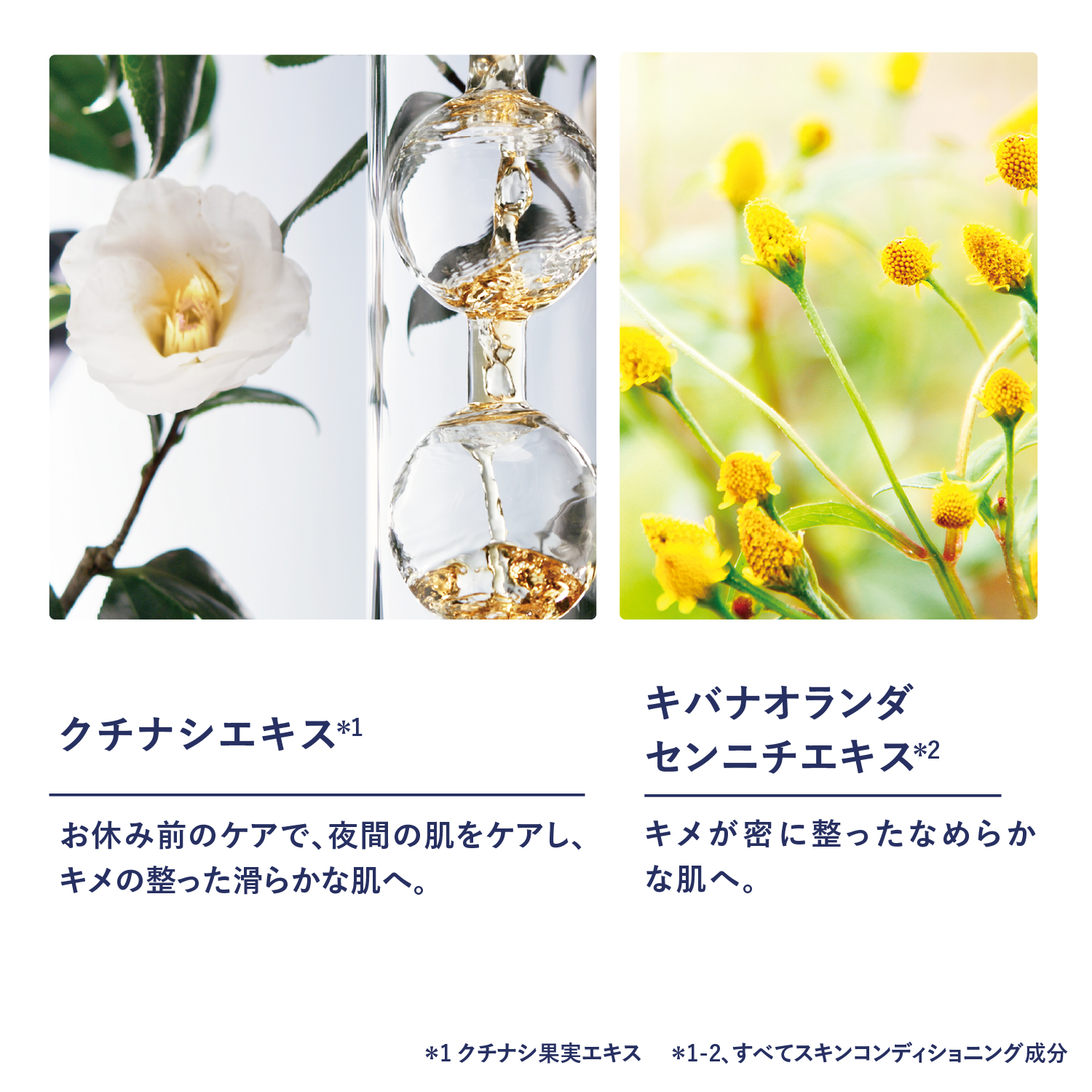 楽天市場】【公式】ロクシタン L'OCCITANE 〈レーヌデプレ〉イルミネ