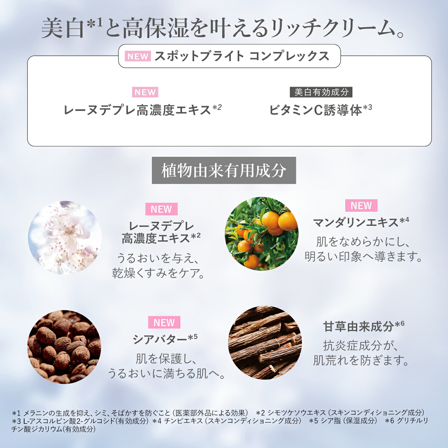 楽天市場】【公式】ロクシタン L'OCCITANE 〈レーヌデプレ〉イルミネ