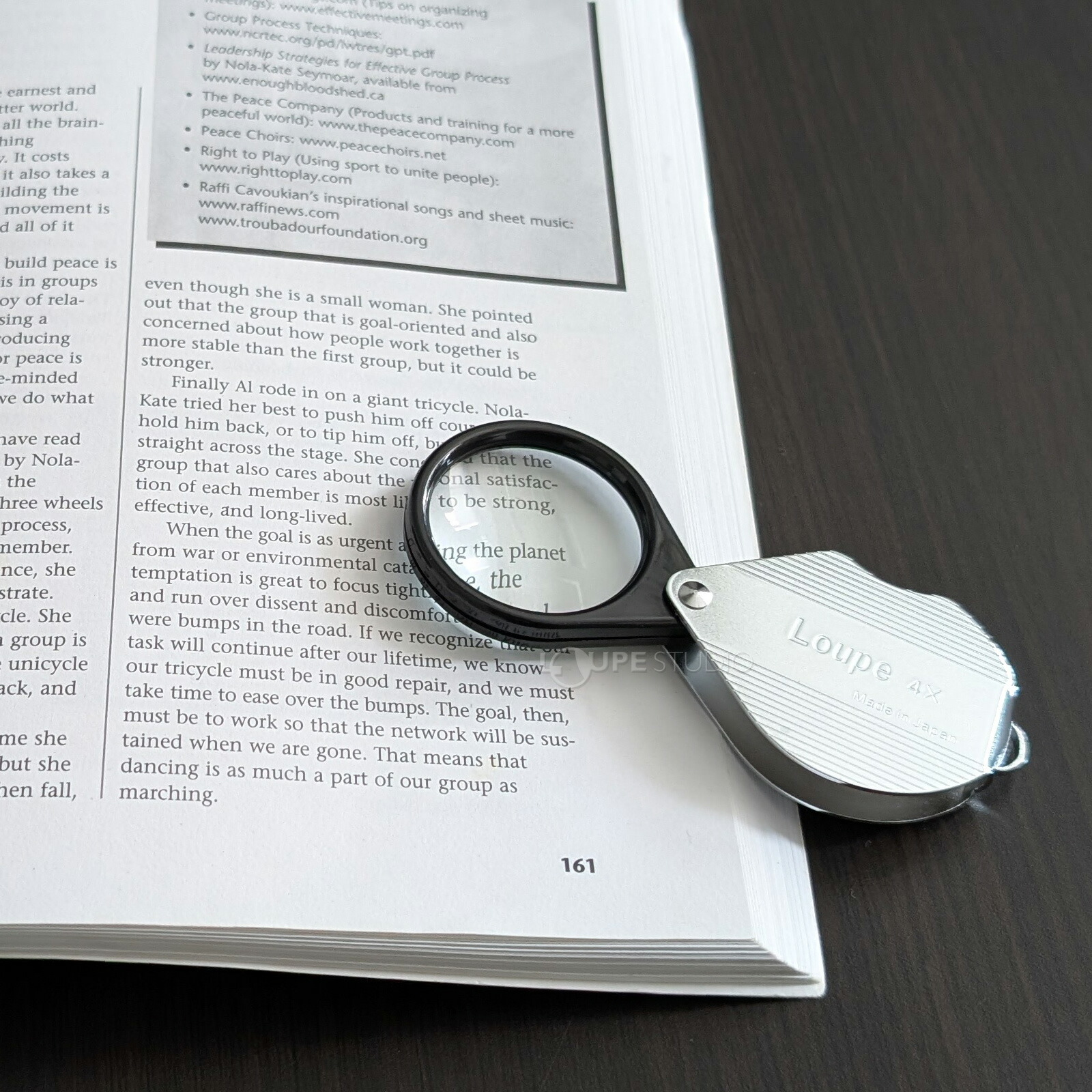 楽天市場】繰り出し ポケットルーペ 携帯 おしゃれ 7951 4倍 36mm