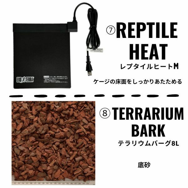 楽天市場】【フトアゴヒゲトカゲリクガメ 飼育セット竹】PRO初心者向け