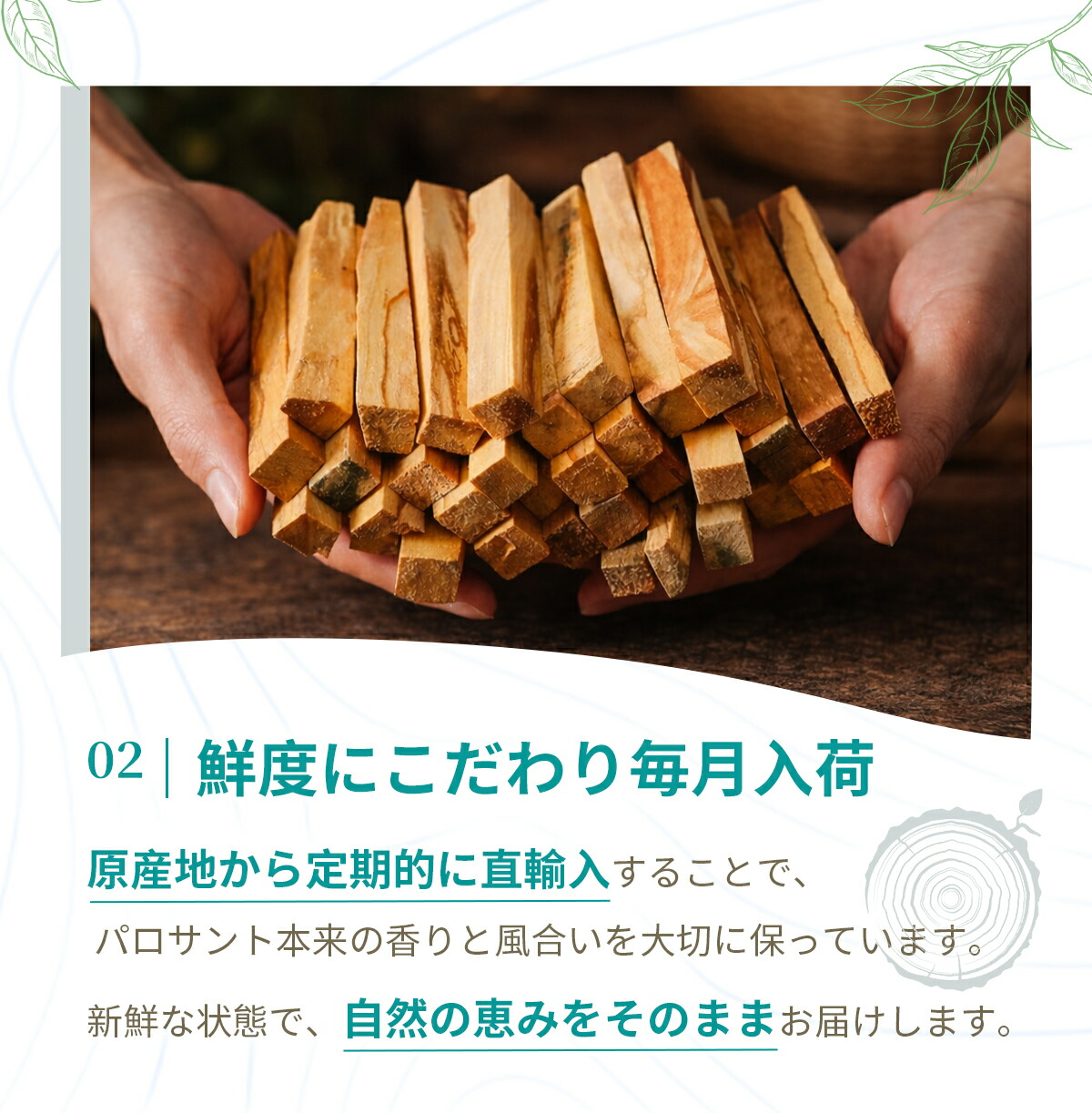 楽天市場】＼SS限定半額／【楽天1位】【鮮度にこだわり毎月入荷