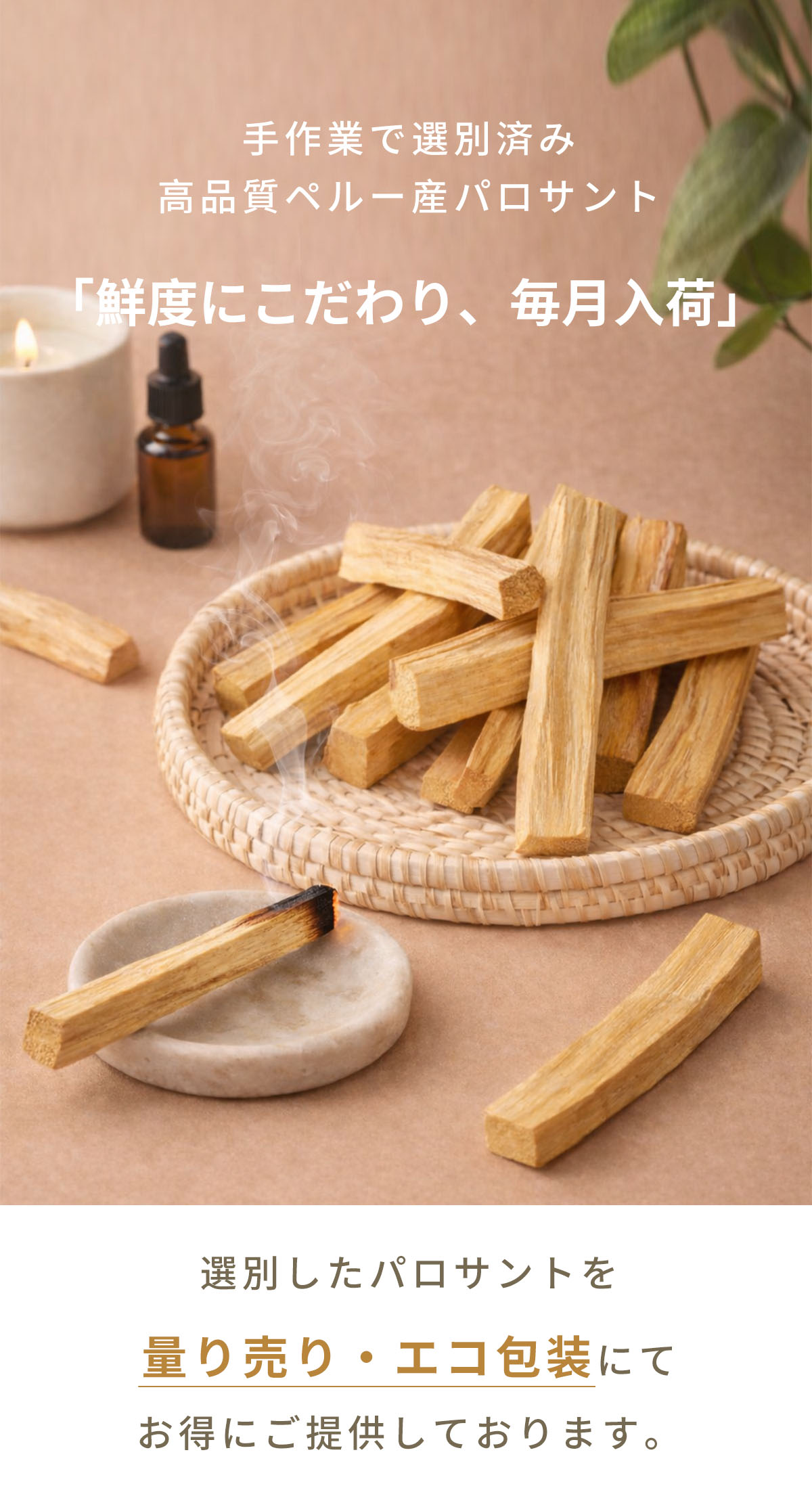 楽天市場】＼SS限定半額／【楽天1位】【鮮度にこだわり毎月入荷